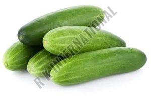 Fresh Cucumber