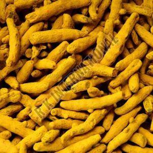 Turmeric Finger