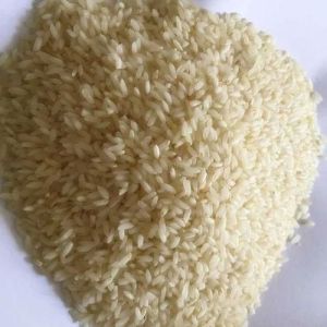Short Grain Non Basmati Rice