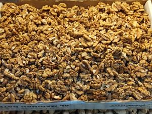 Brown Walnut Kernels