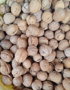 Kashmir Walnuts