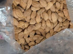 Kashmir Almond Curve Mamra