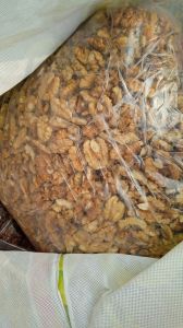 Light Brown Kashmir Walnut Kernal