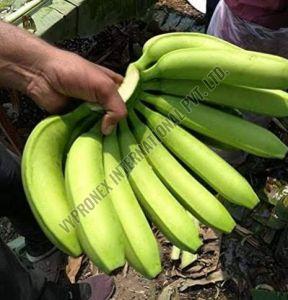 G9 Green Banana