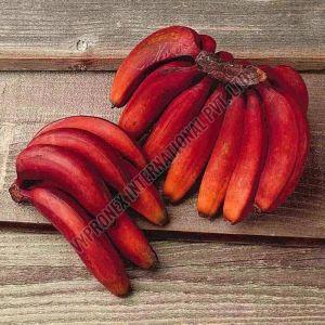Red Banana