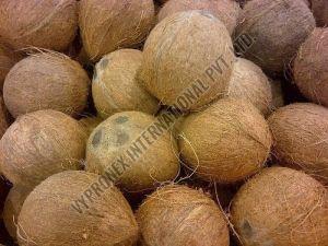 Fresh Mature Coconut