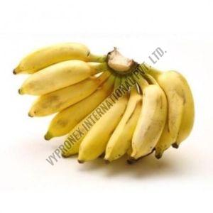 Yelakki Yellow Banana