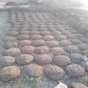 Cow Dung Cake