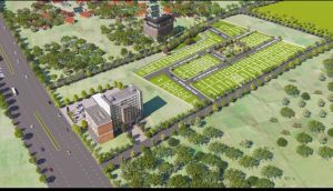 Layout Designing Survey Service