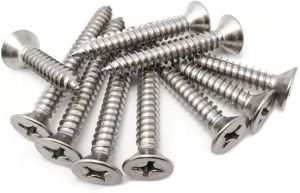 Nickel Polish Drywall Screw