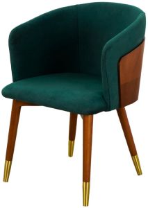 Wooden Arm Chair
