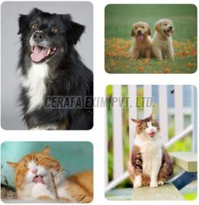 b2b white label services