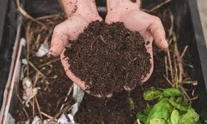 2kg Organic Cow Dung Vermicompost