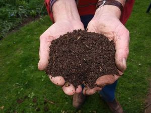Agri Boost Organic Soil Fertility Mix