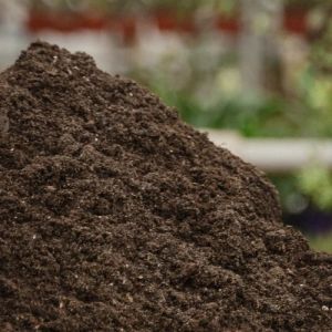 Garden Special Organic Potting Compost