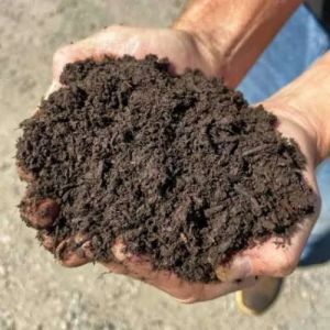 High-Nutrient Organic Root Growth Mix