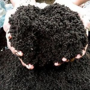 Premium Bio-Organic Soil Enhancer