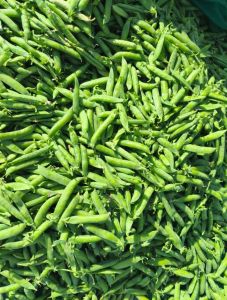 Beans