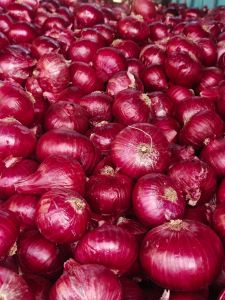 Red Onion