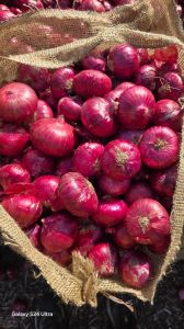 Red Onion