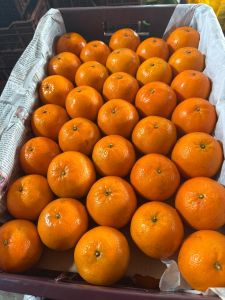 Kinnow Orange