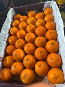 Kinnow Orange