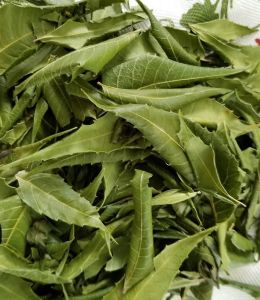 Neem Leaves