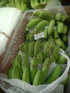 Cavendish Bananas