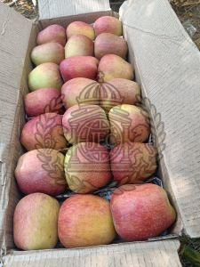 A Grade Fresh Kashmiri Apple