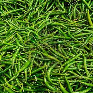 Fresh Green Chilli