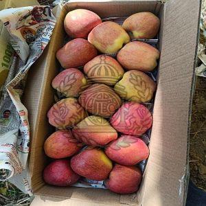 A Grade Fresh Kashmiri Apple