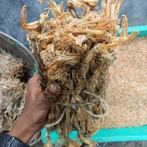 Bombay Duck Dry Fish