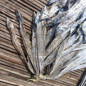 Premium Sun-Dried Large Ribbon Fish