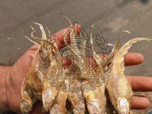 Whole Brown Dried Ribbon Fish