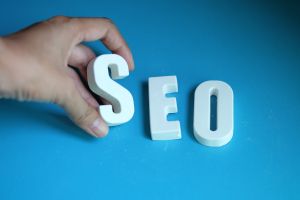 Search Engine Optimization Services