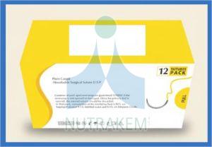 Catgut Plain Absorbable Surgical Suture