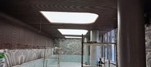 PVC Translucent 3D Stretch Ceilings