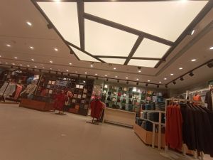 PVC Translucent 3D Stretch Ceilings