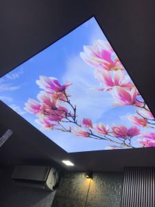 PVC Nature Stretch Ceilings