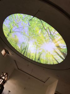 PVC Nature Stretch Ceilings