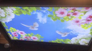 PVC Nature Stretch Ceilings
