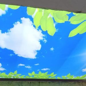 PVC Nature Stretch Ceilings