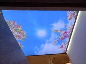 Sky Stretch Ceilings