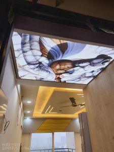 Printed Acoustic Stretch Ceilings
