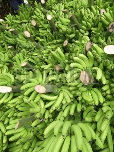 A Grade Green Banana