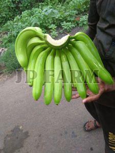 Raw Green Banana