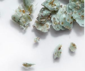 Detox Algae Bath Soap