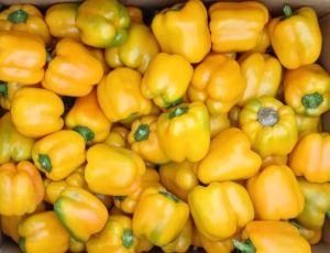 Fresh Yellow Capsicum