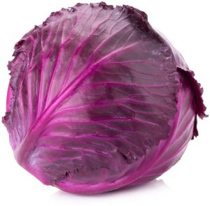 Fresh Purple Cabbage