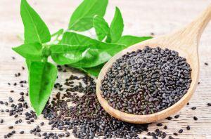 Basil Seeds